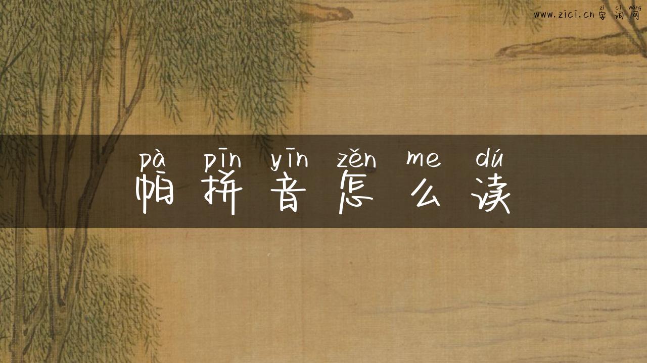 帕拼音怎么读