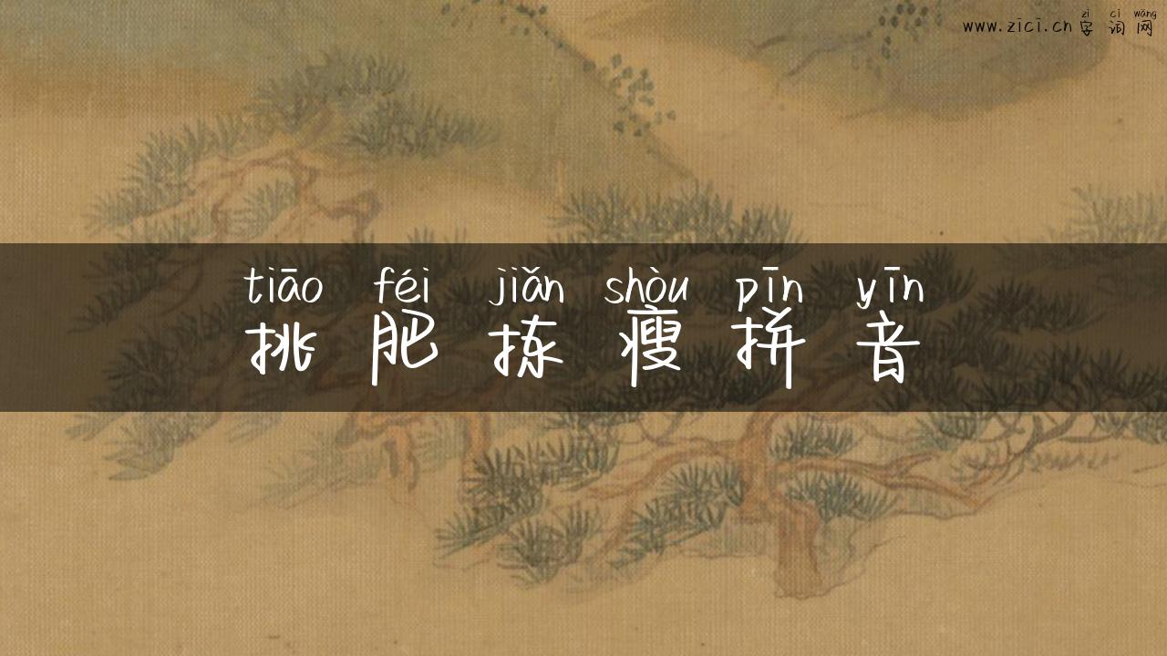 挑肥拣瘦拼音