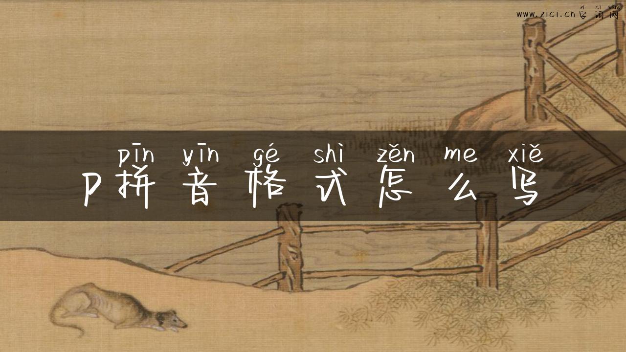 p拼音格式怎么写