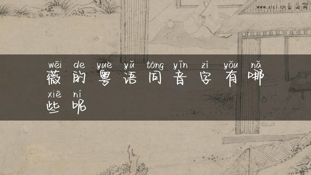 薇的粤语同音字有哪些呢