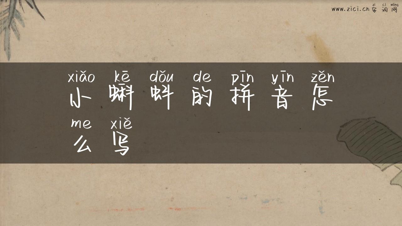 小蝌蚪的拼音怎么写