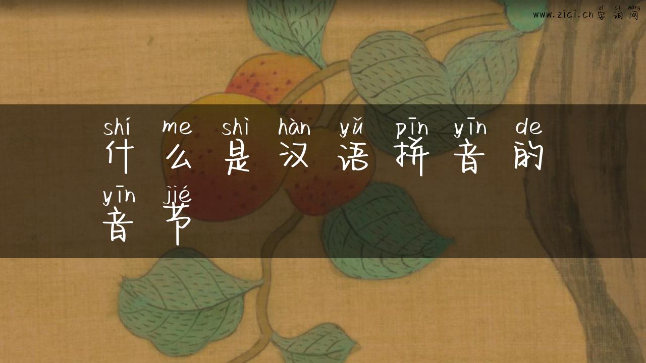 什么是汉语拼音的音节