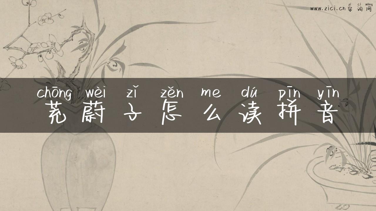 茺蔚子怎么读拼音