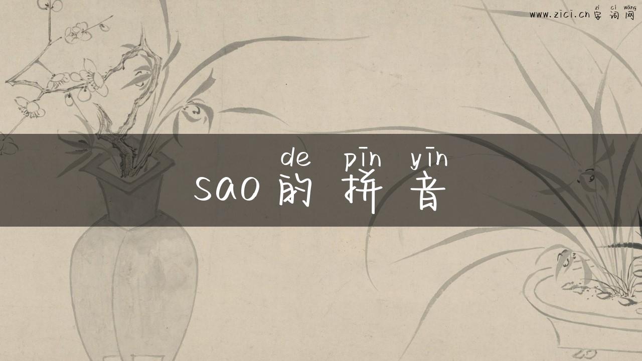sao的拼音