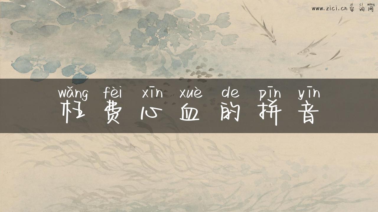 枉费心血的拼音