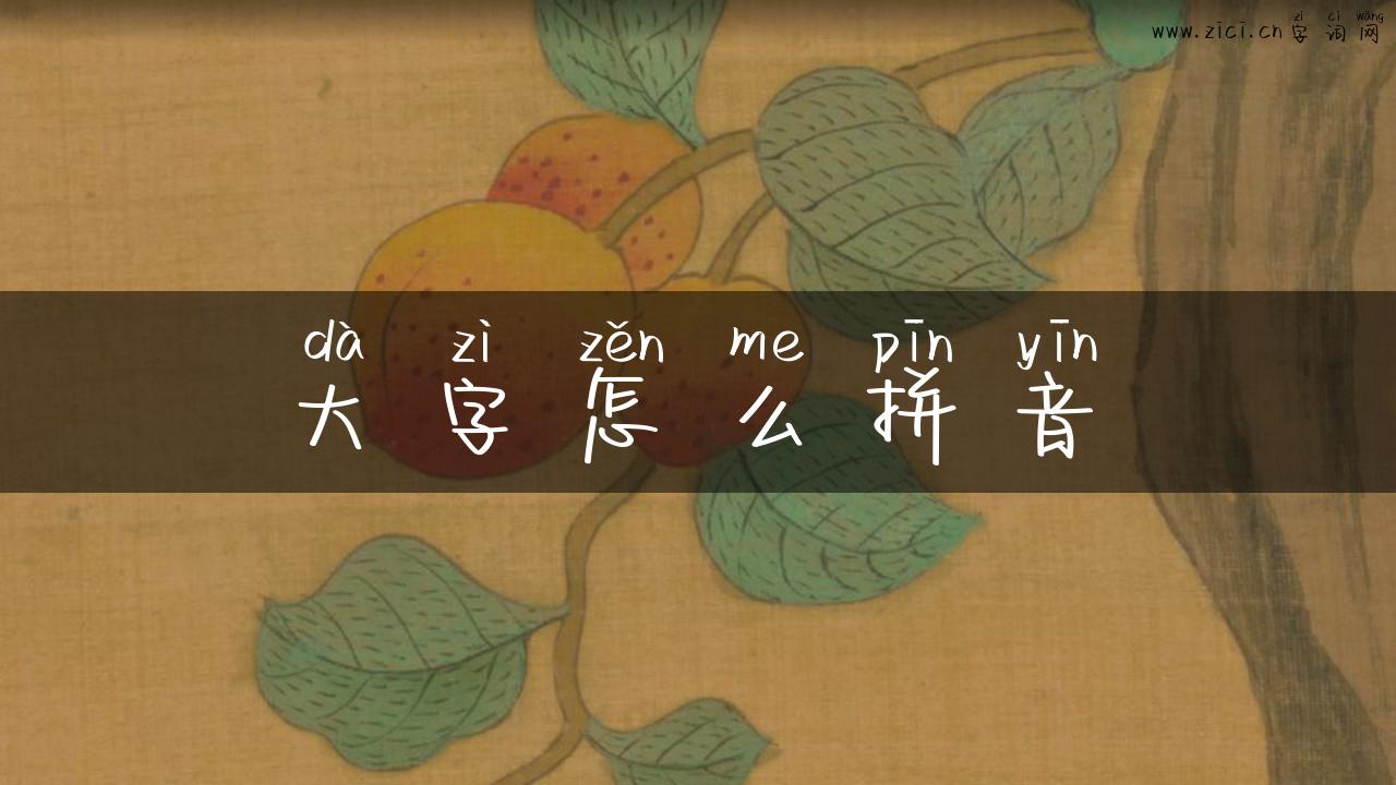大字怎么拼音