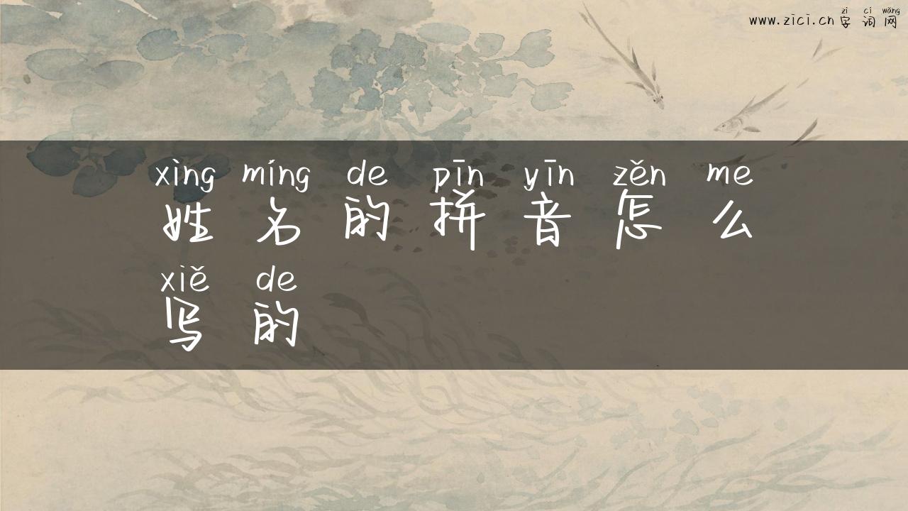 姓名的拼音怎么写的