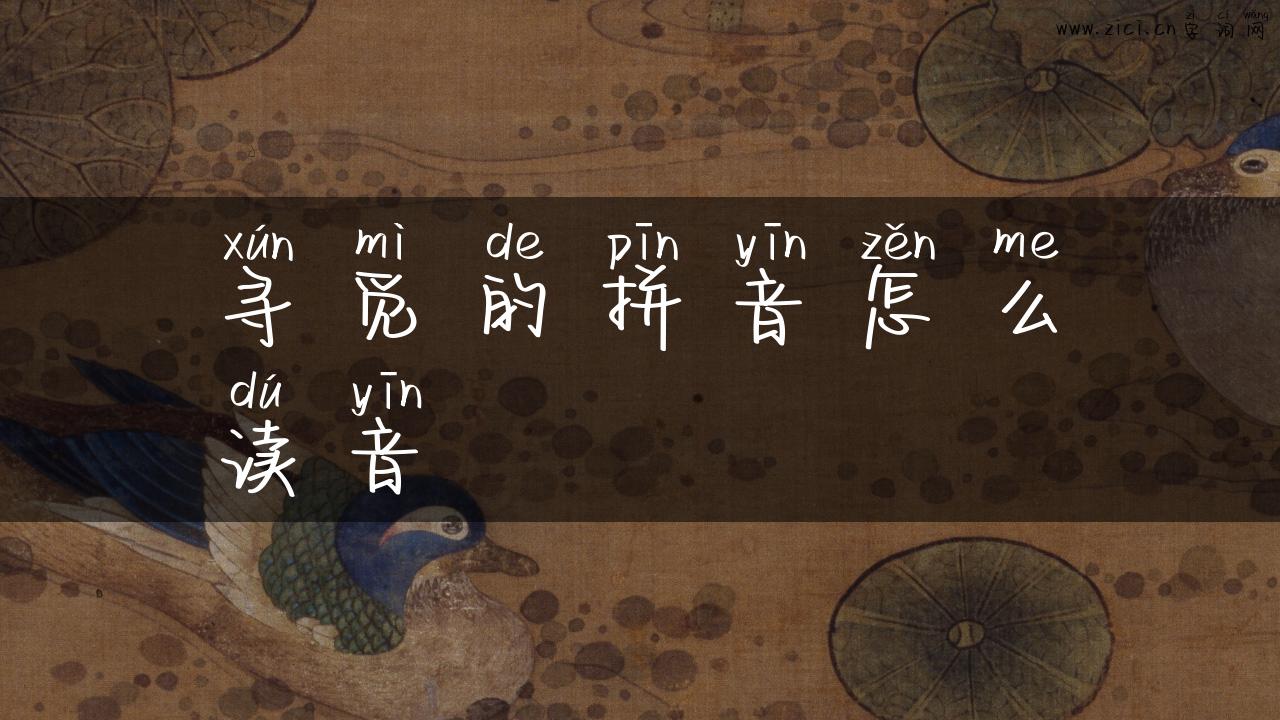 寻觅的拼音怎么读音