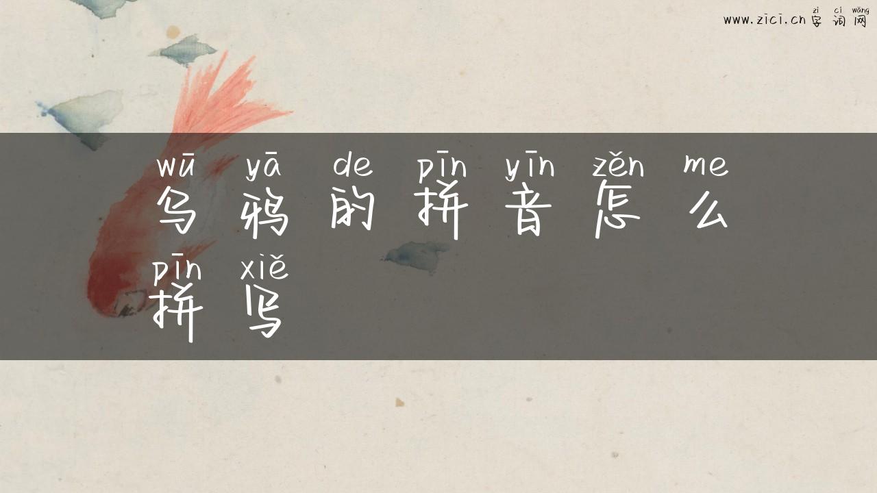 乌鸦的拼音怎么拼写