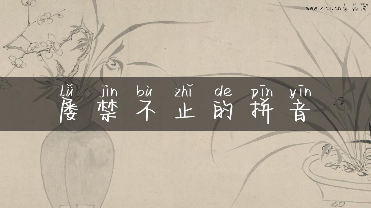 屡禁不止的拼音