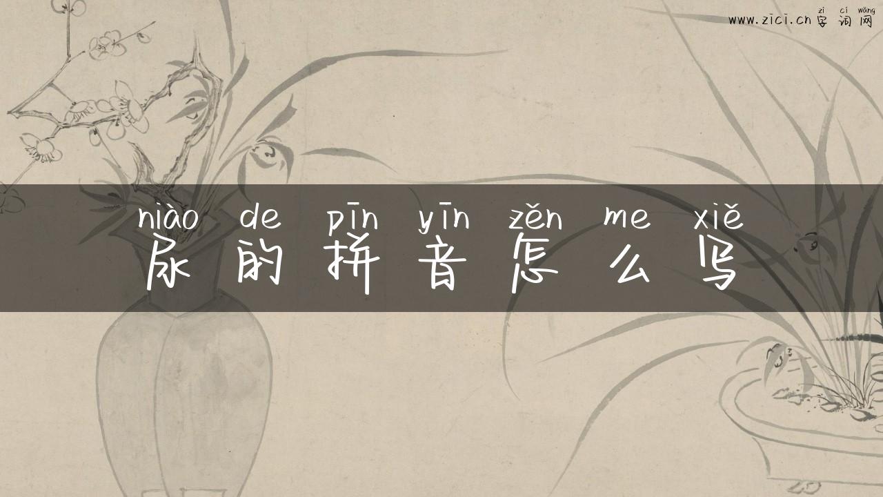 尿的拼音怎么写