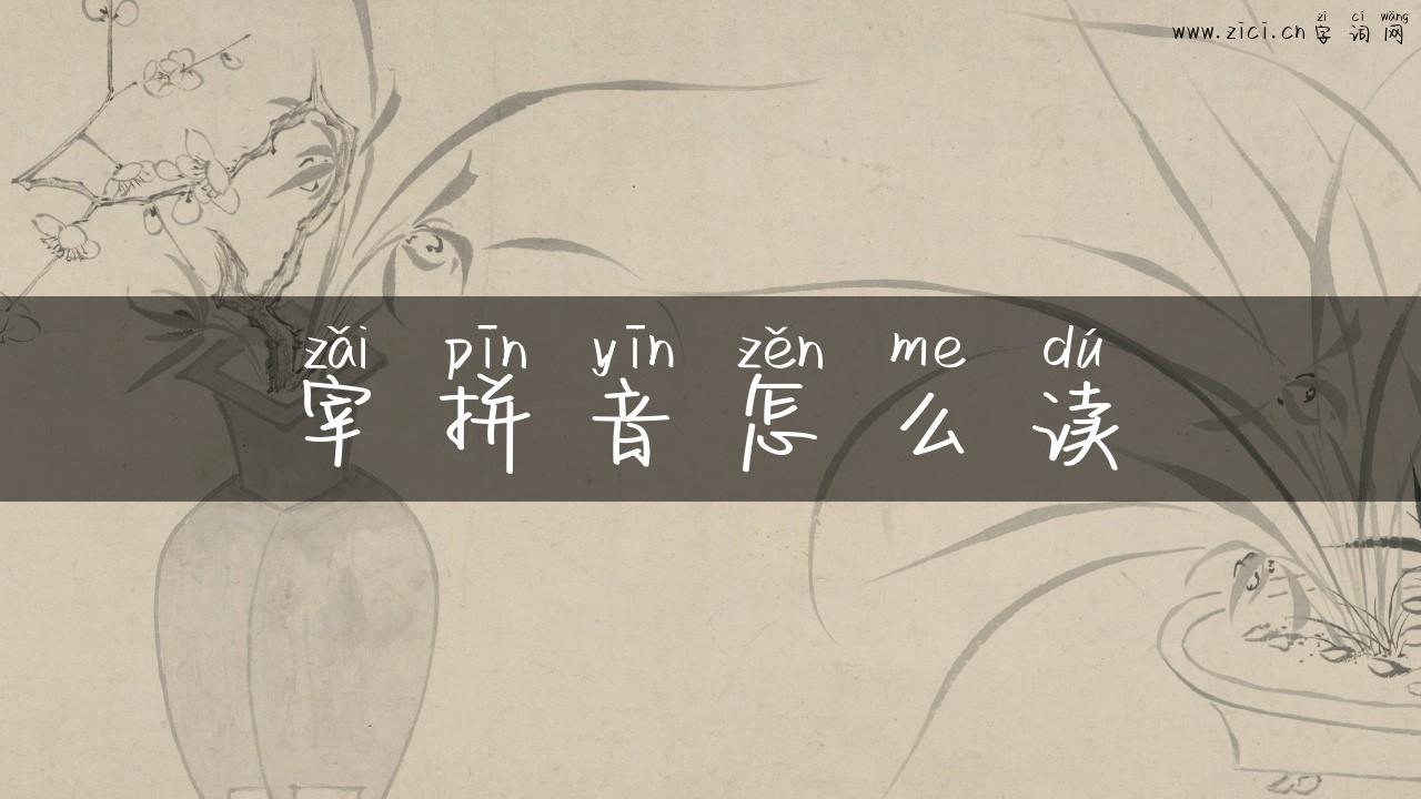 宰拼音怎么读