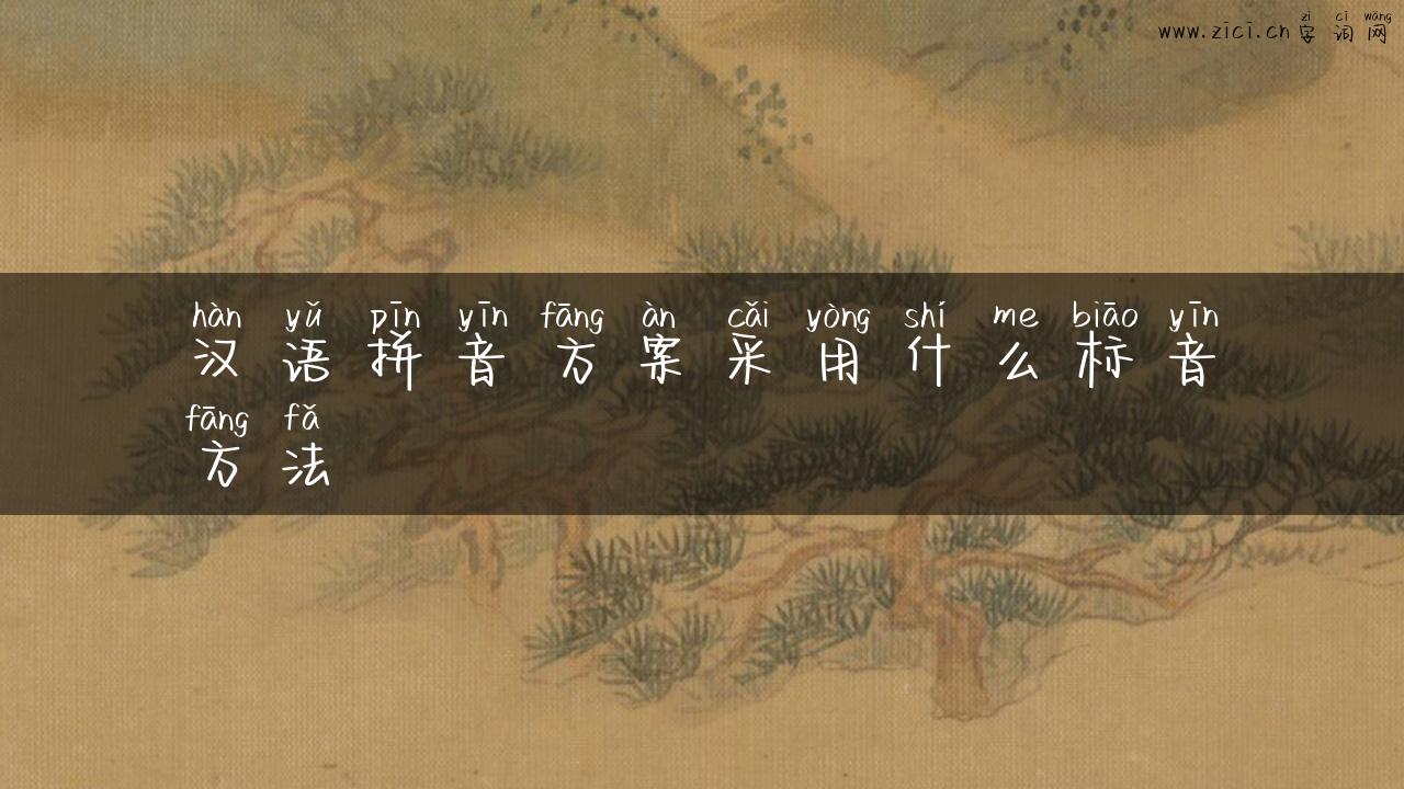 汉语拼音方案采用什么标音方法