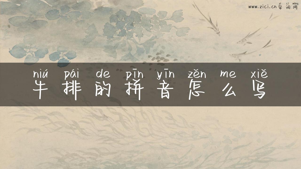 牛排的拼音怎么写