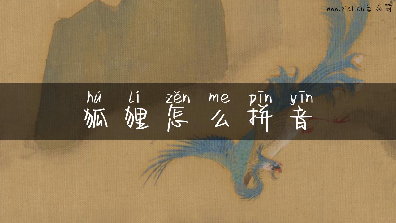 狐狸怎么拼音
