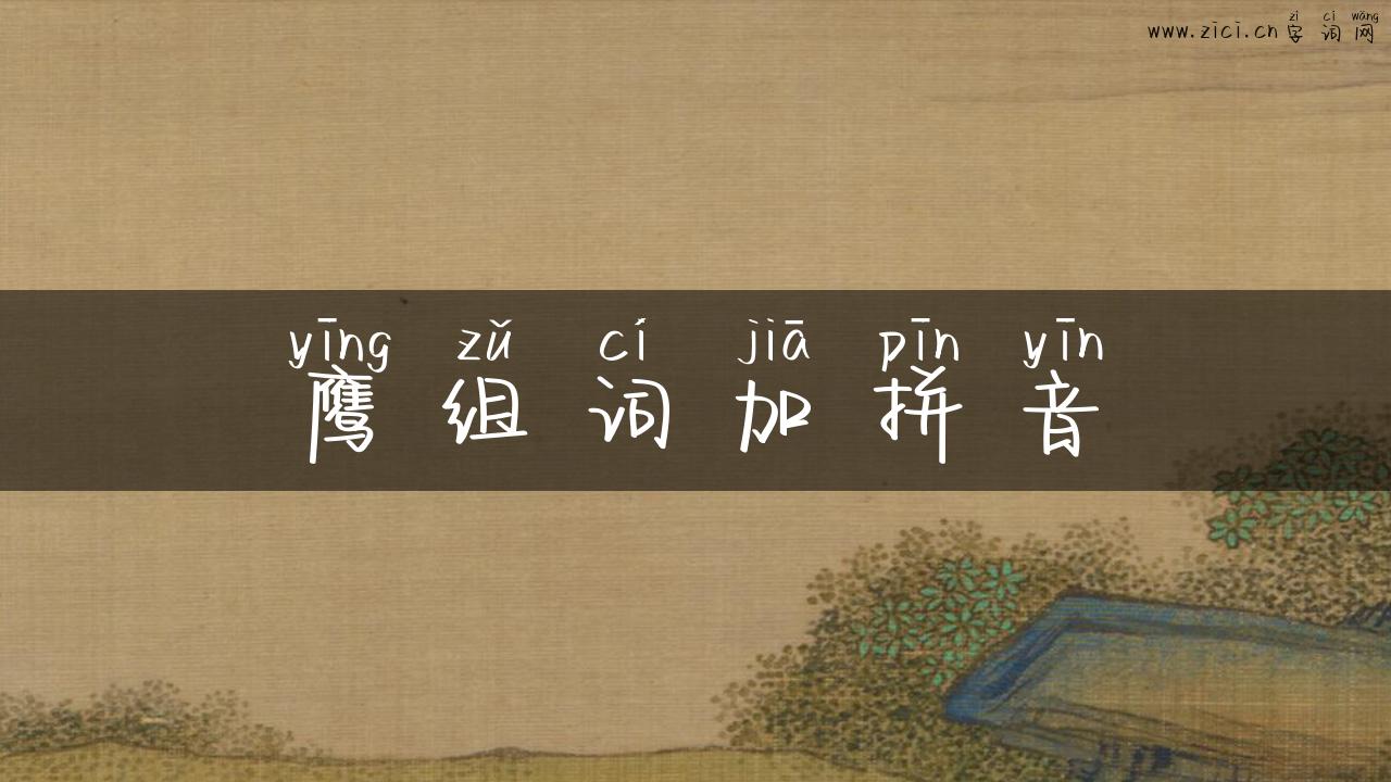 鹰组词加拼音