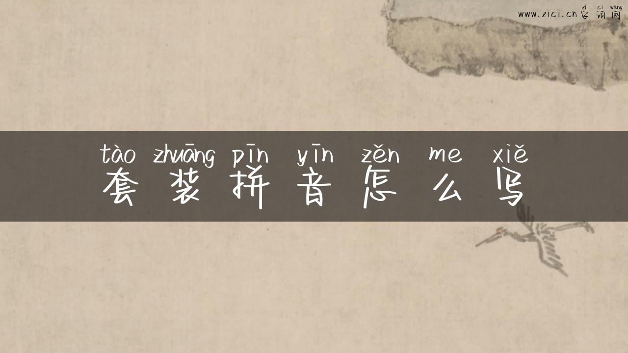 套装拼音怎么写