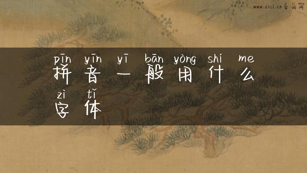 拼音一般用什么字体