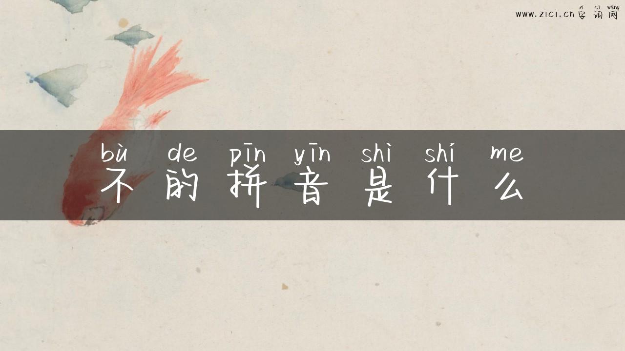 不的拼音是什么
