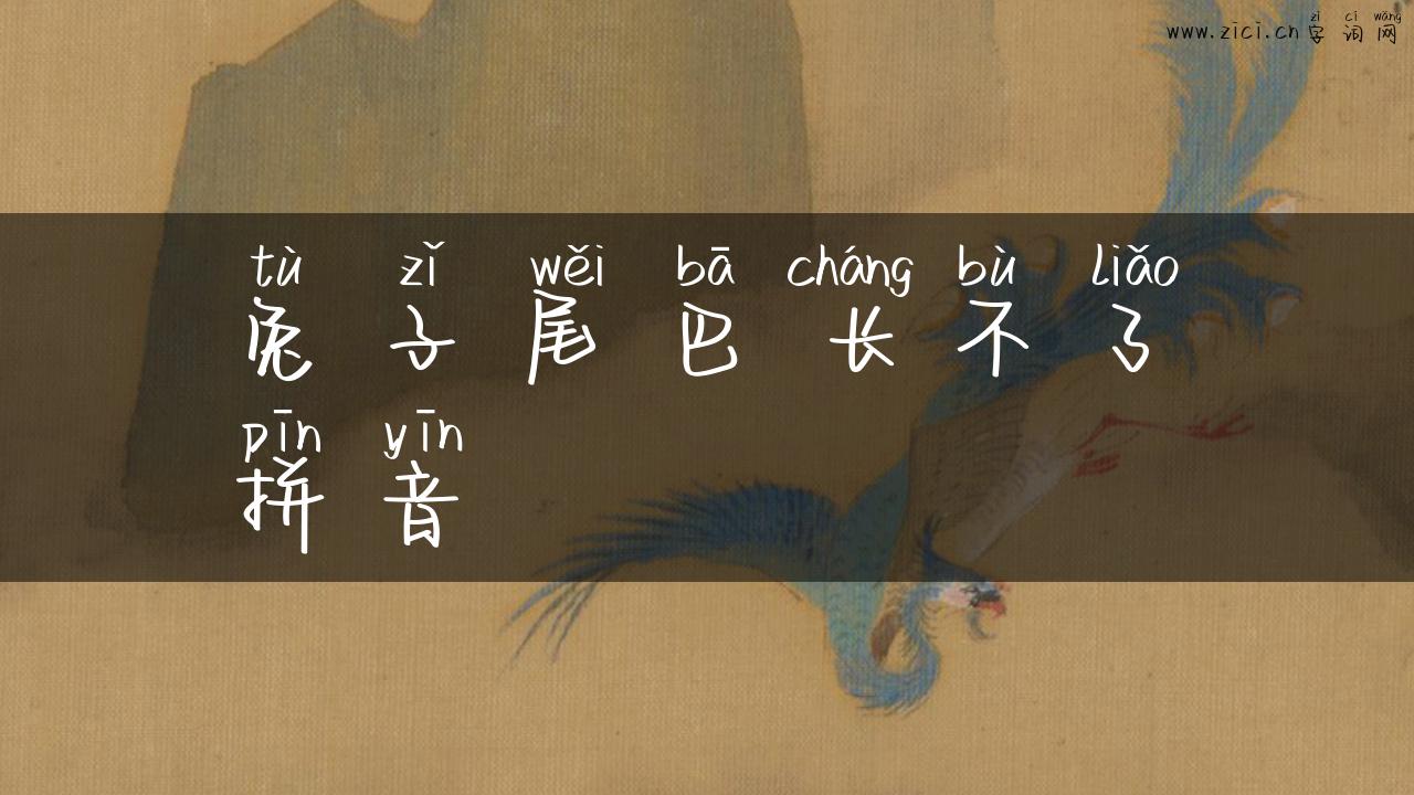 兔子尾巴长不了拼音