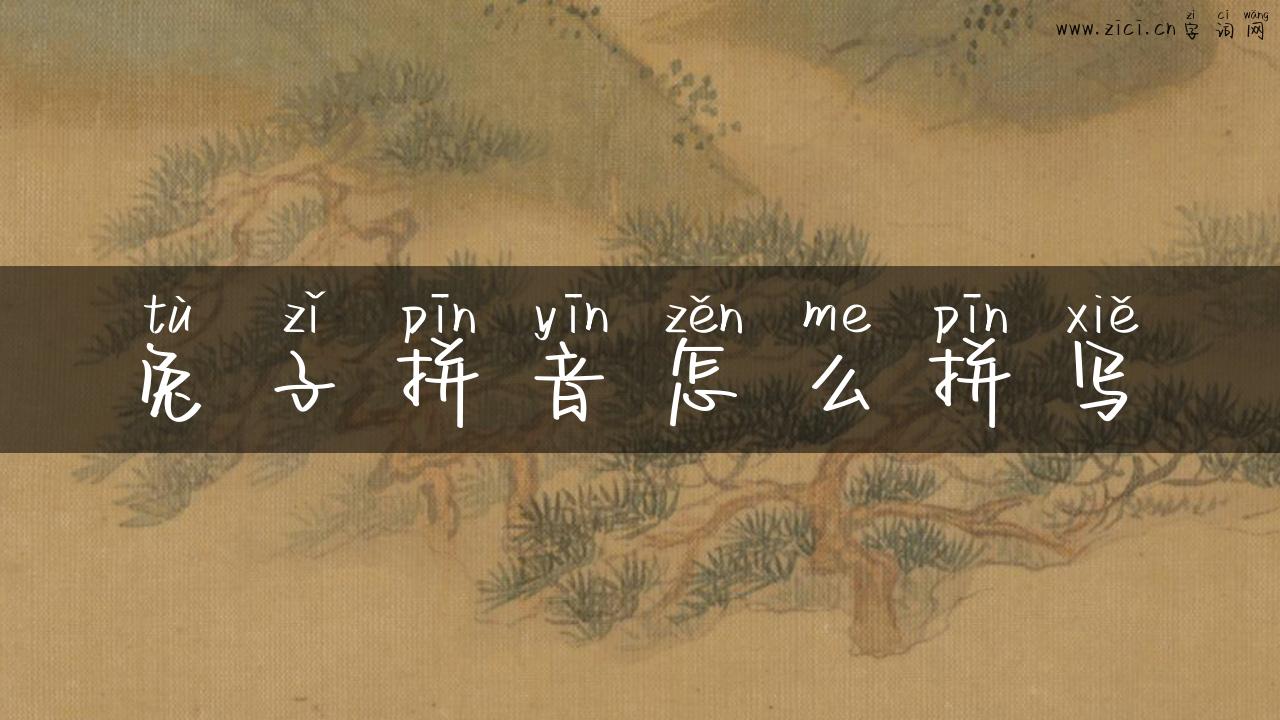 兔子拼音怎么拼写