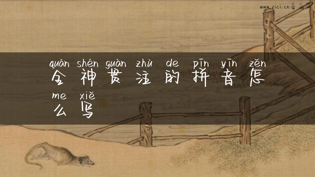 全神贯注的拼音怎么写