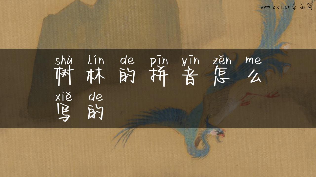 树林的拼音怎么写的