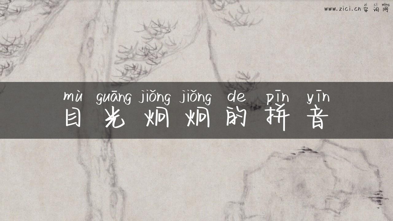目光炯炯的拼音