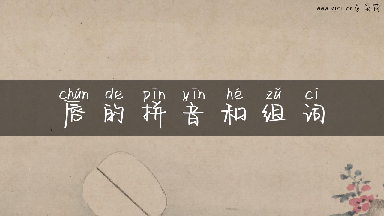 唇的拼音和组词