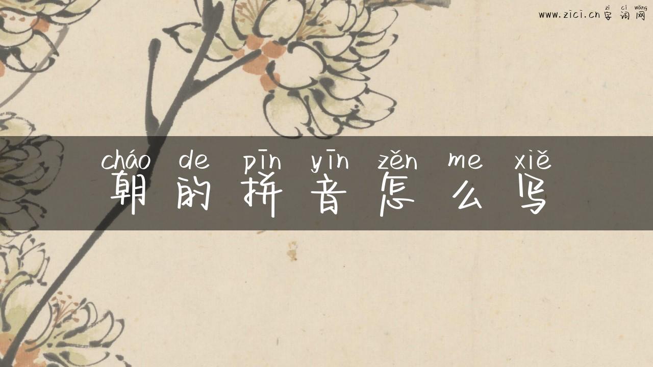 朝的拼音怎么写