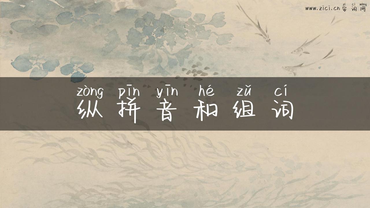 纵拼音和组词
