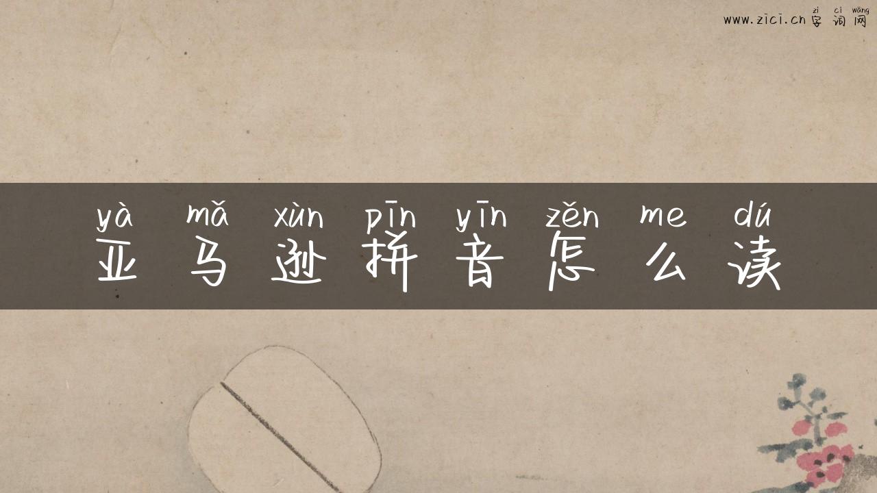 亚马逊拼音怎么读