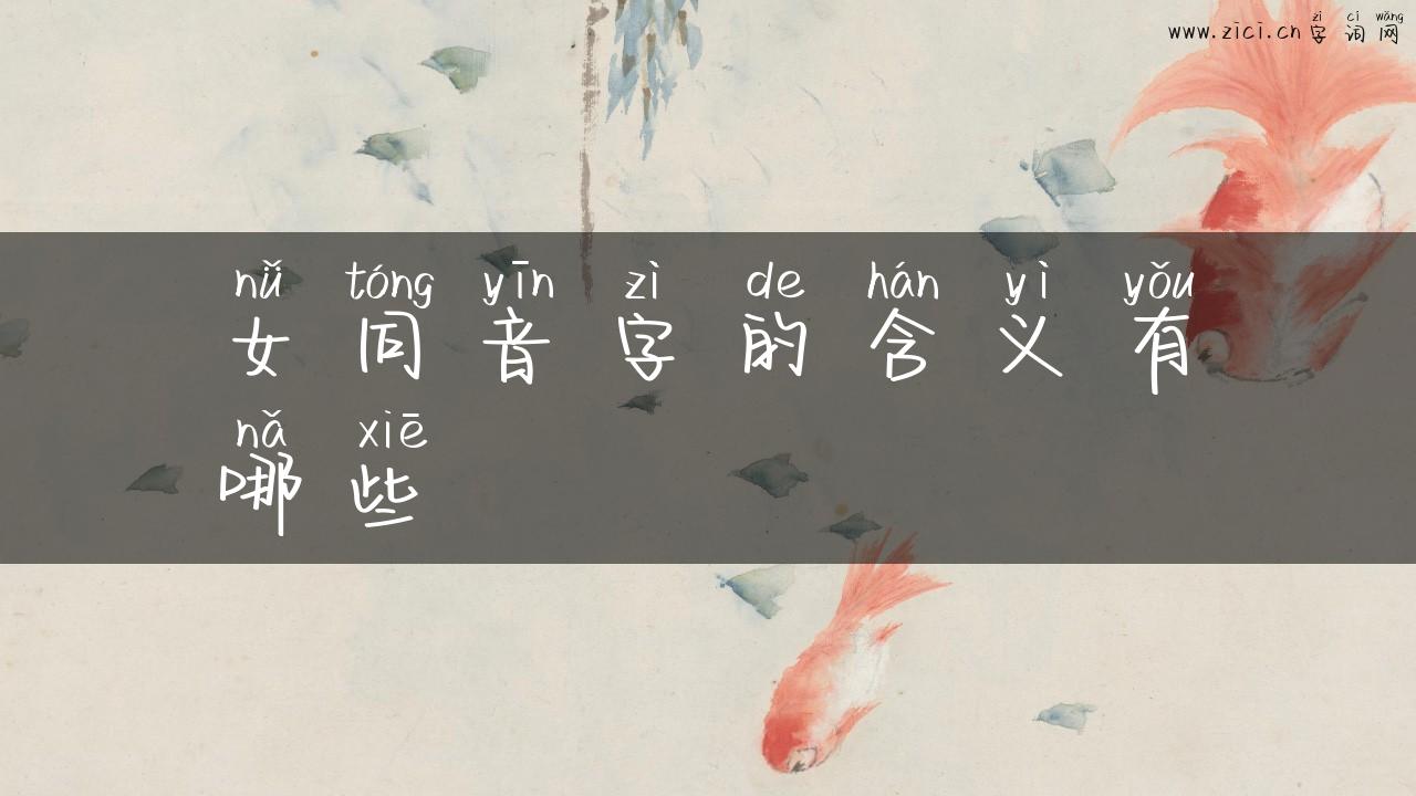女同音字的含义有哪些