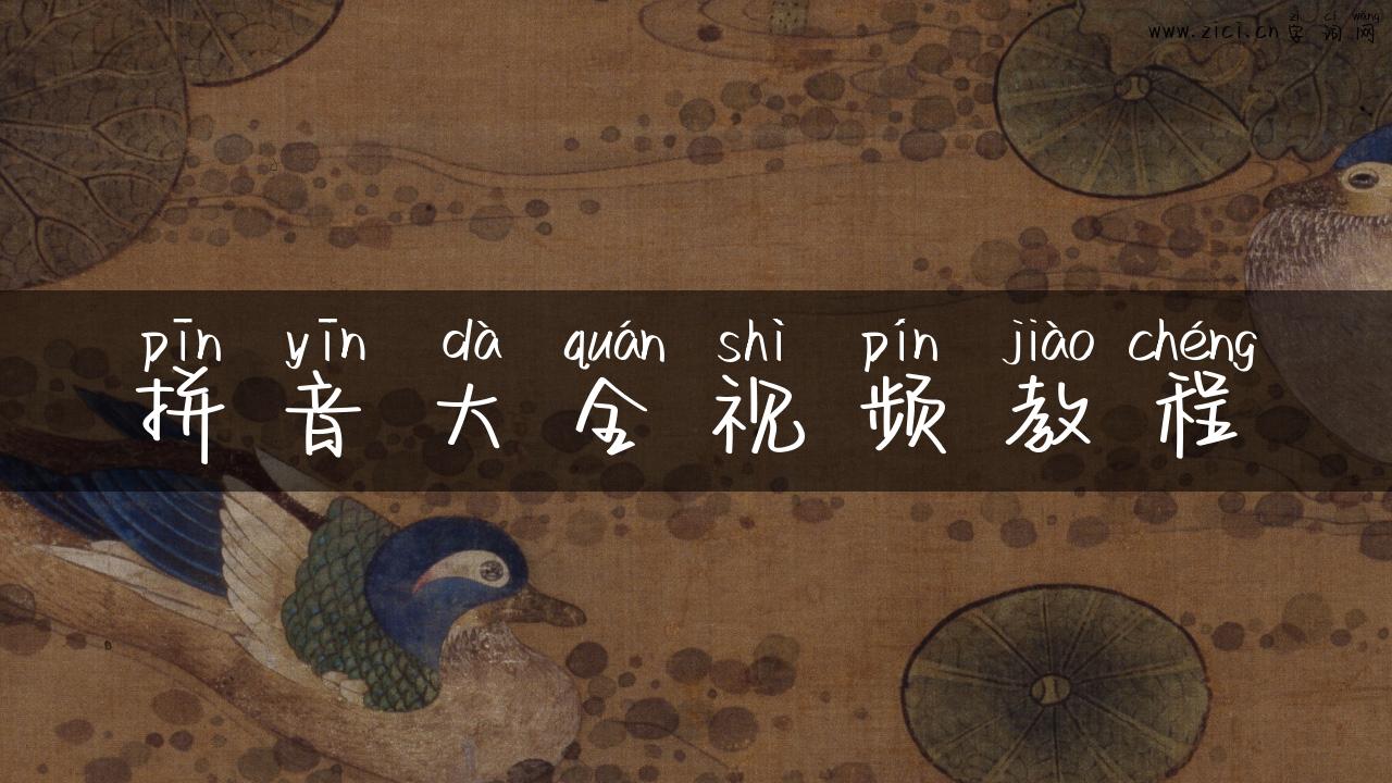拼音大全视频教程