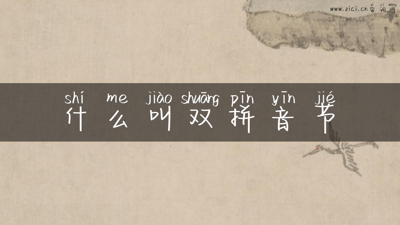 什么叫双拼音节