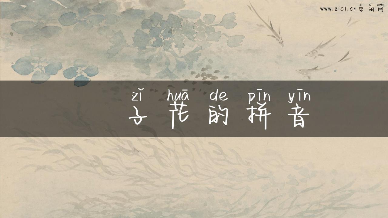 枙子花的拼音