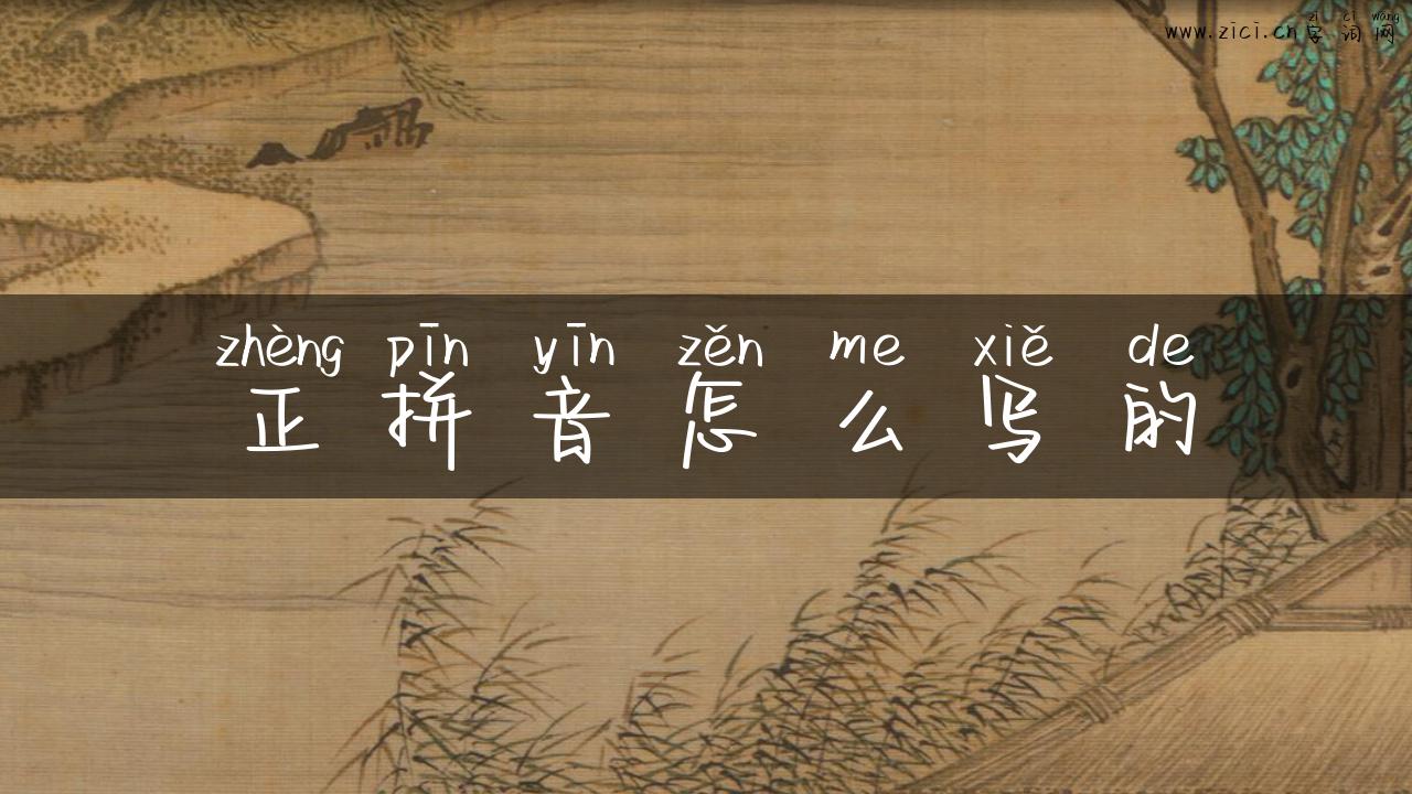 正拼音怎么写的