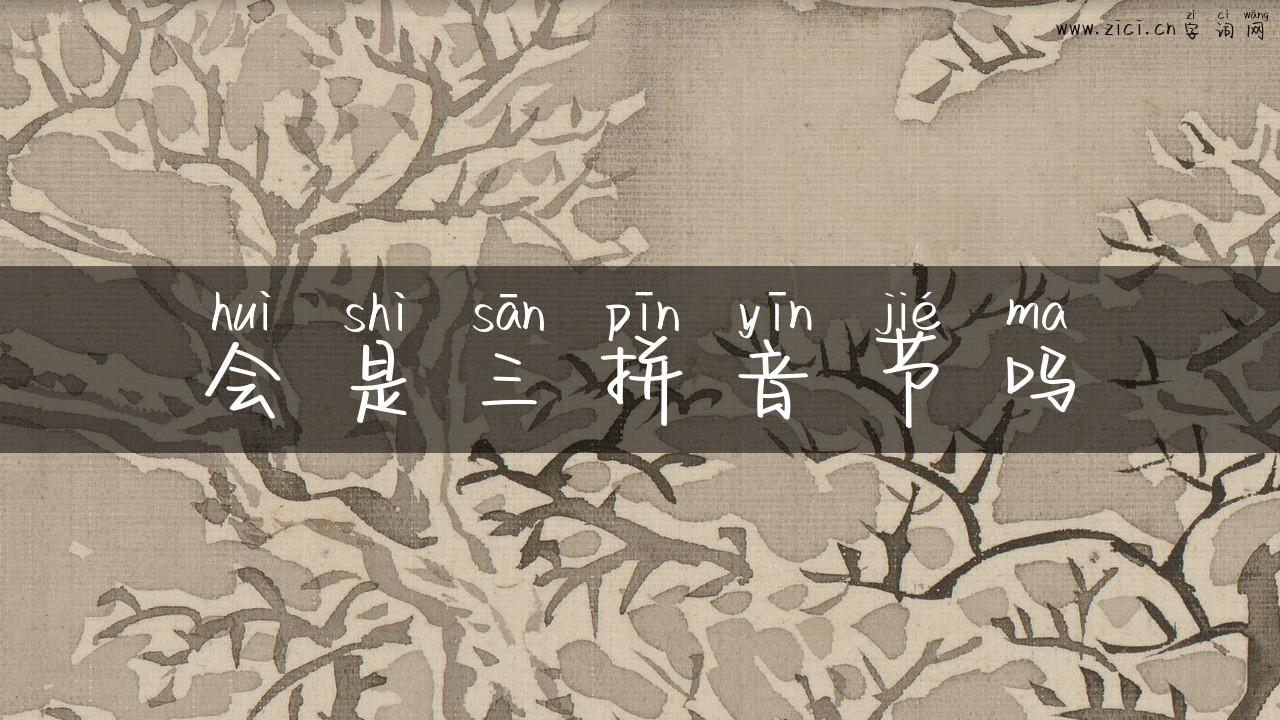 会是三拼音节吗