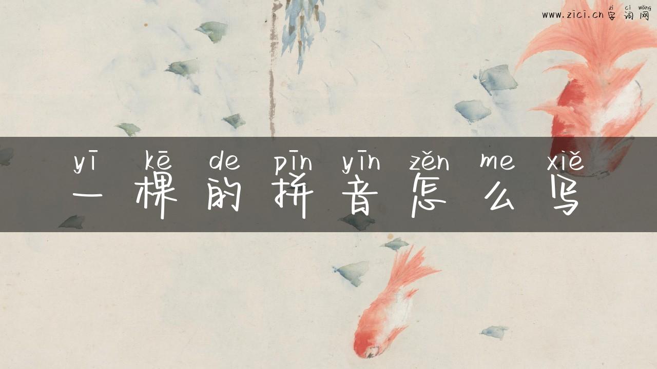 一棵的拼音怎么写
