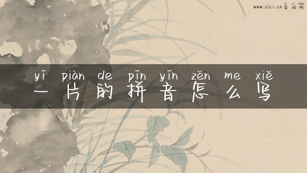 一片的拼音怎么写