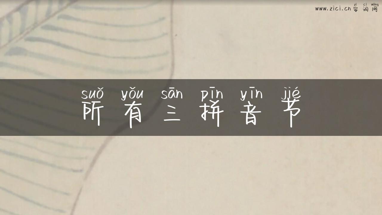 所有三拼音节