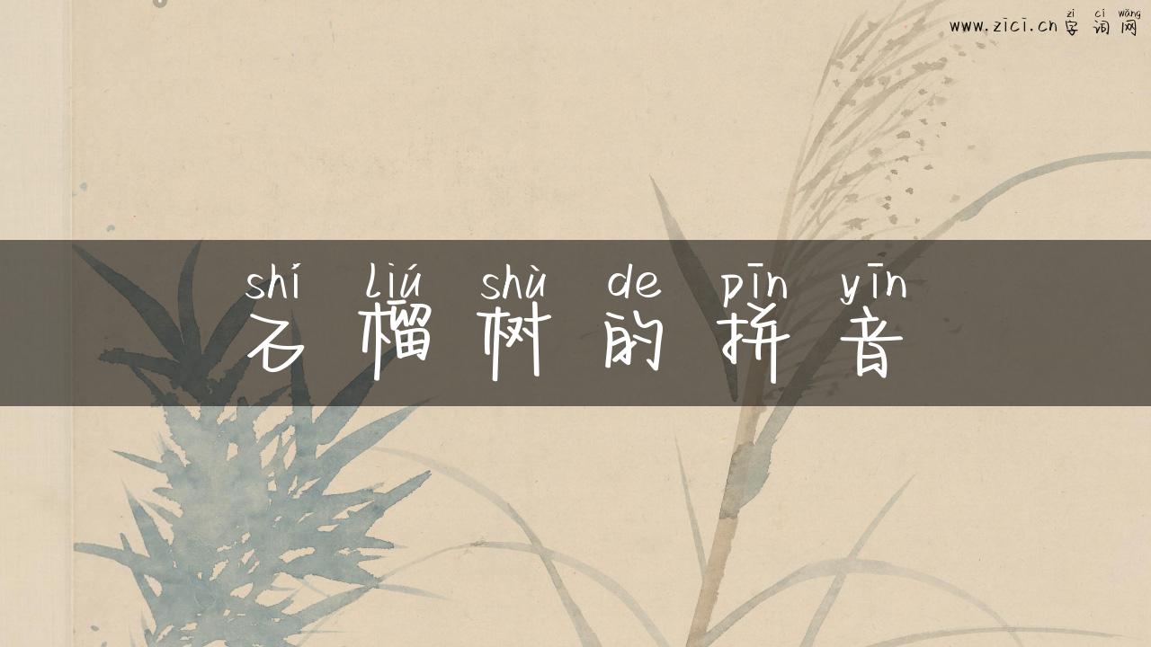 石榴树的拼音