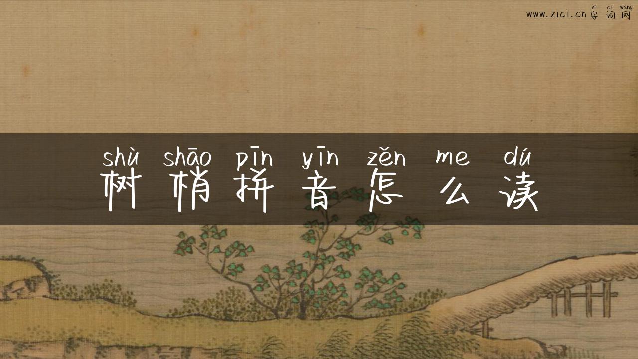 树梢拼音怎么读