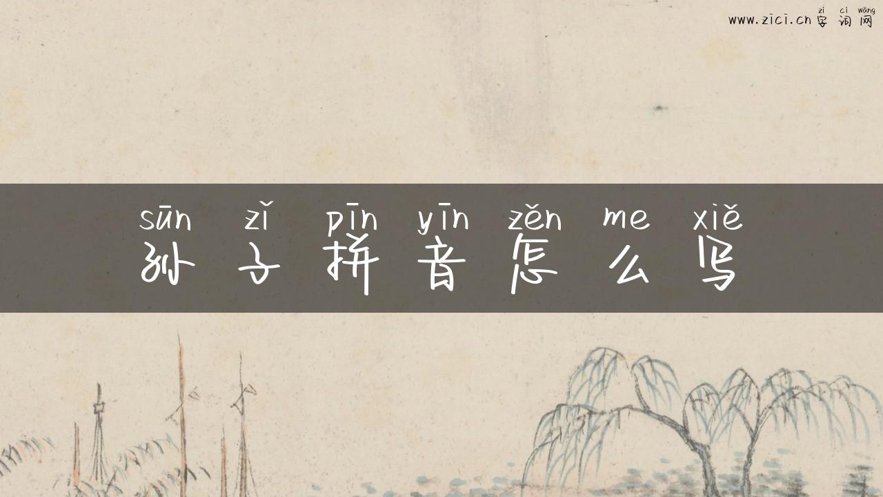 孙子拼音怎么写
