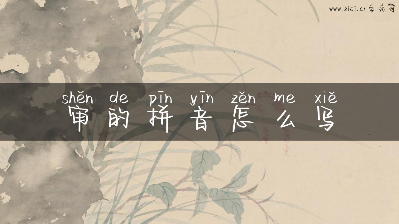 审的拼音怎么写