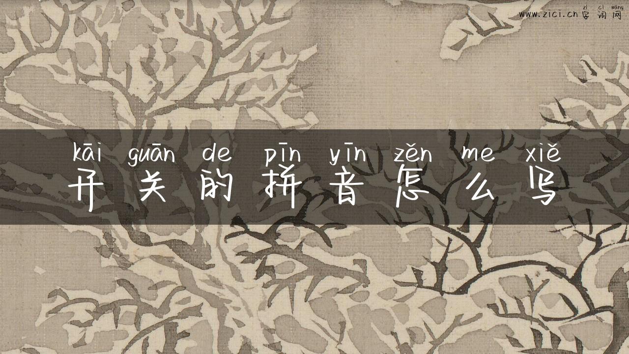 开关的拼音怎么写