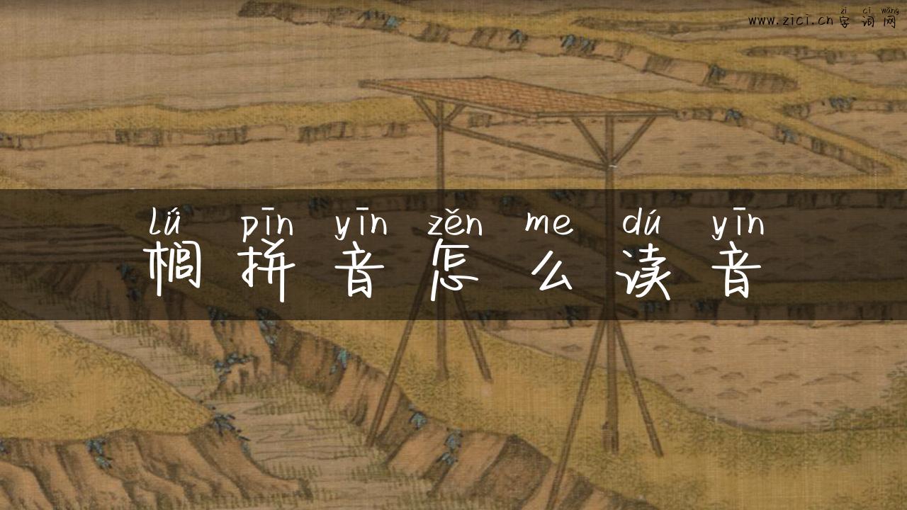 榈拼音怎么读音