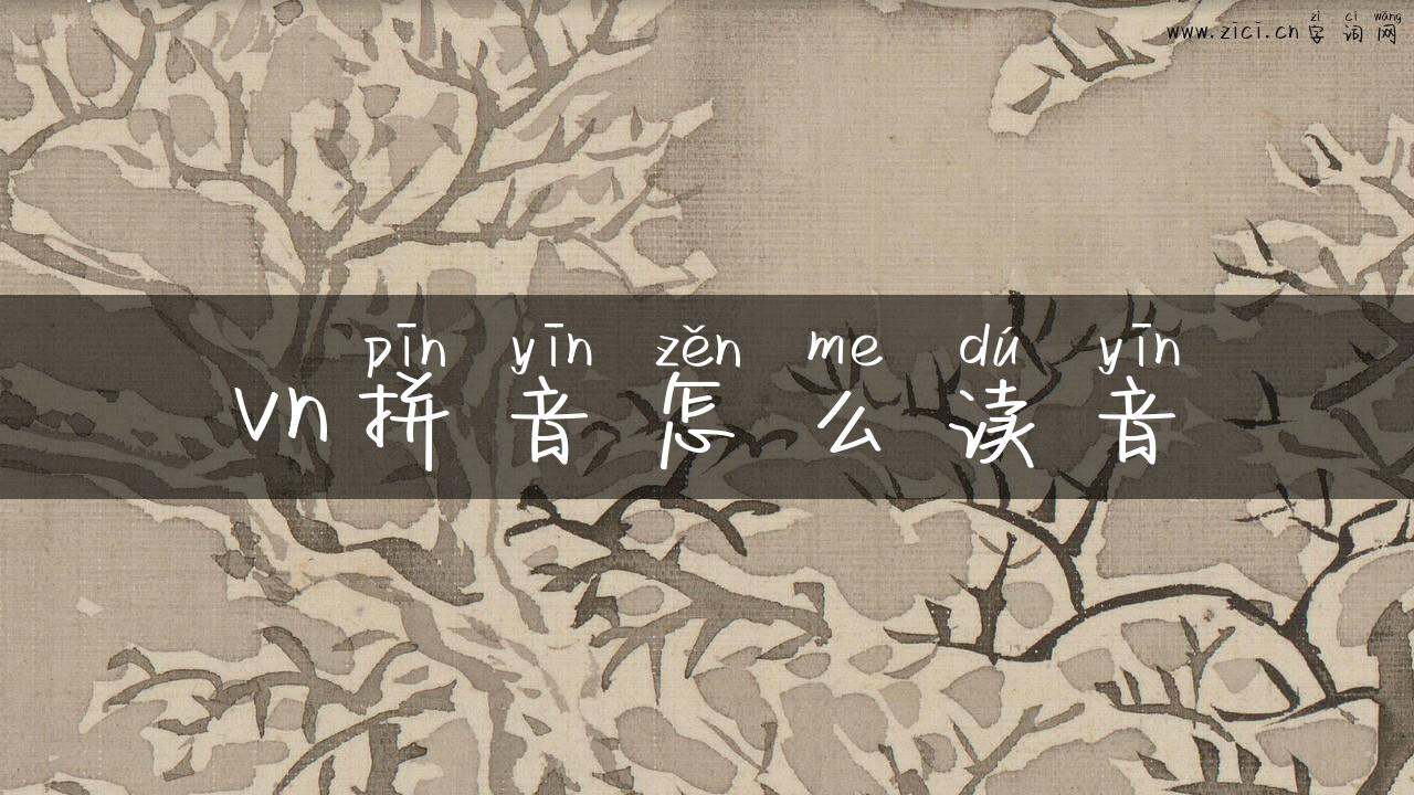 vn拼音怎么读音