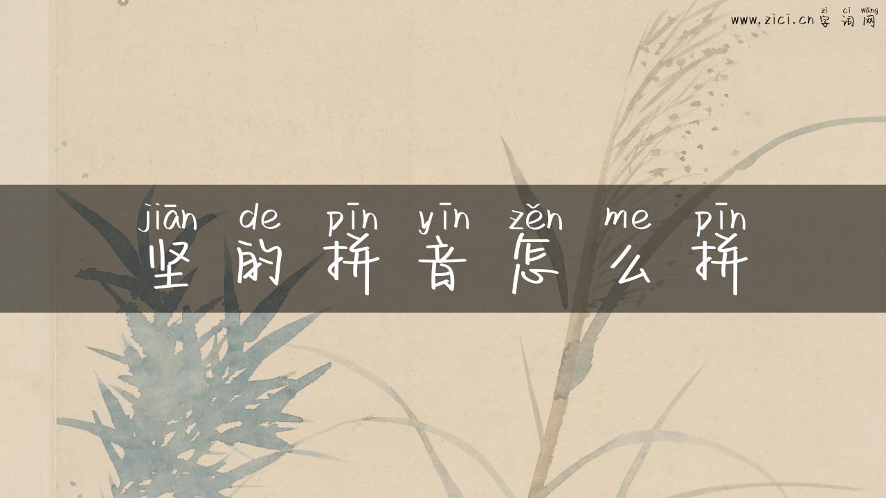 坚的拼音怎么拼
