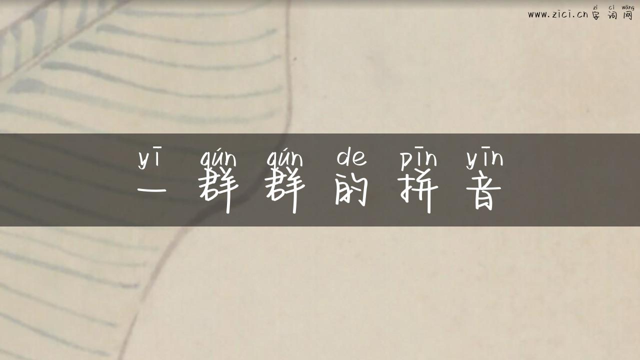 一群群的拼音